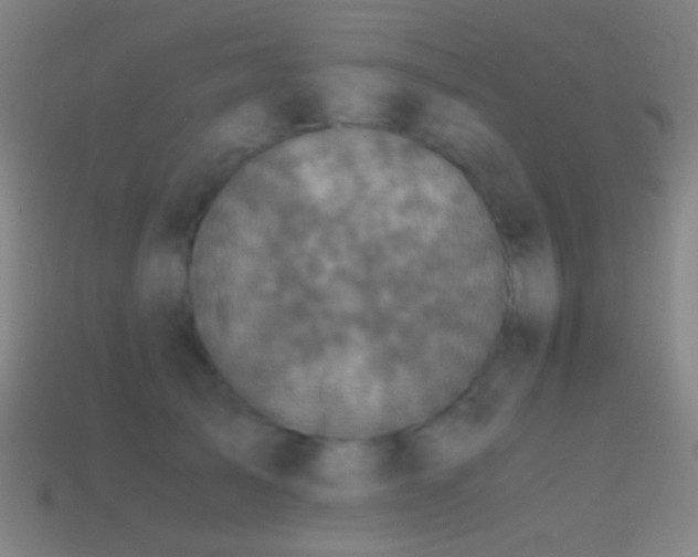 X0000114410705200910161207