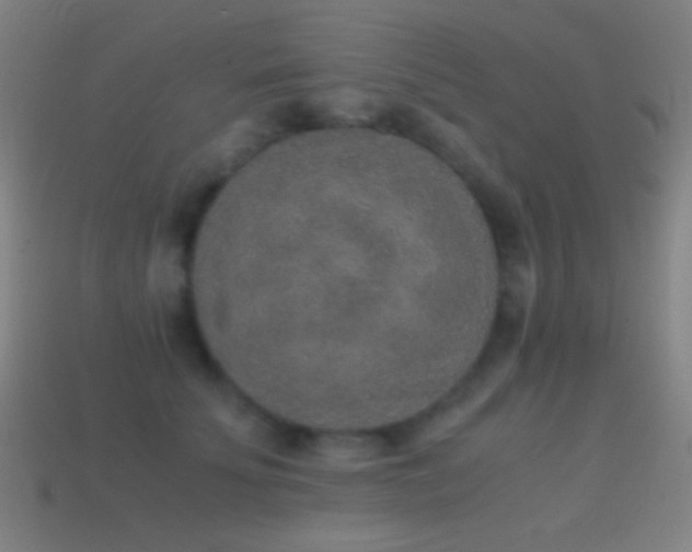 X0000114410707200910161207