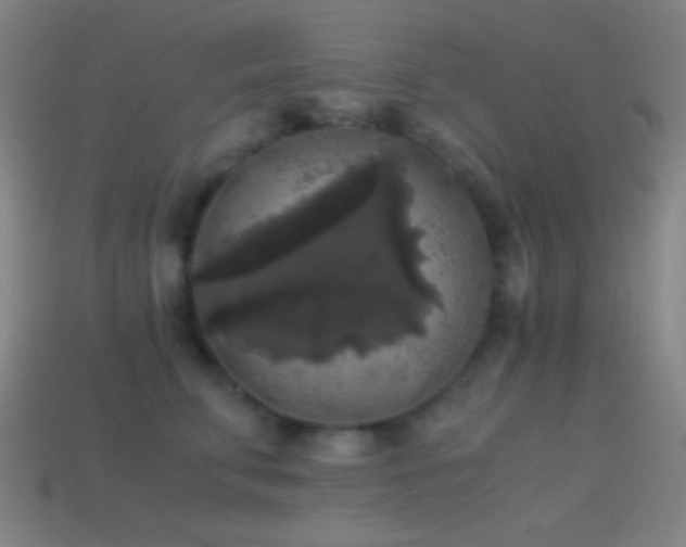 X0000114410711200910161207