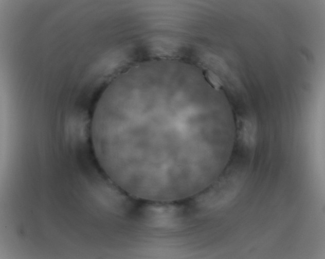 X0000114410712200910161207