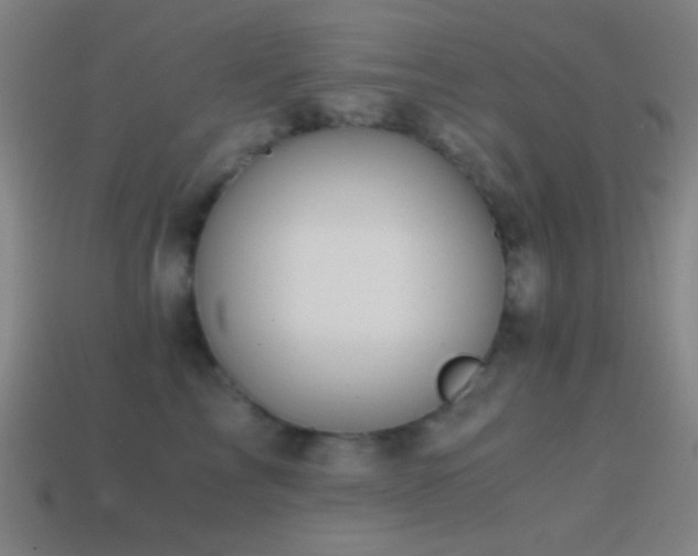 X0000114410713200910161207