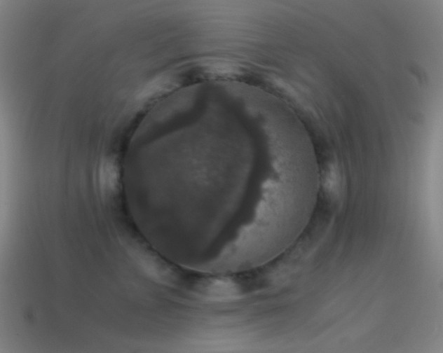 X0000114410715200910161207