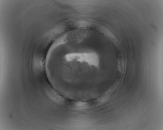 X0000114410718200910161207