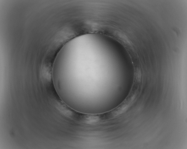 X0000114410719200910161207
