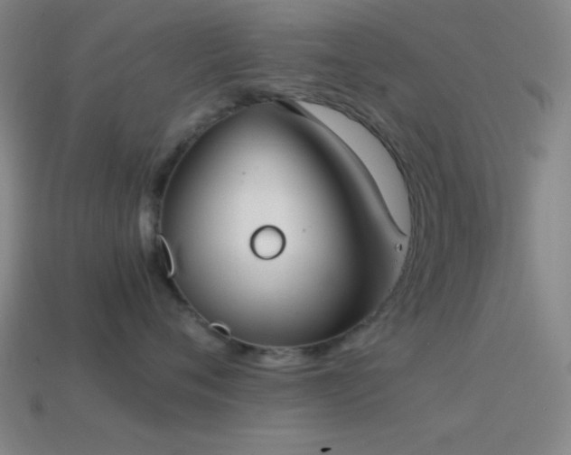 X0000114410720200910161207