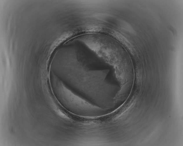 X0000114410721200910161206