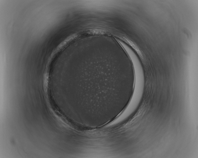 X0000114410722200910161206