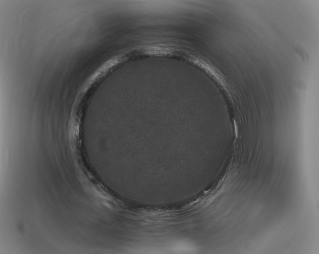 X0000114410723200910161206