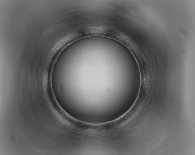 X0000114410725200910161206