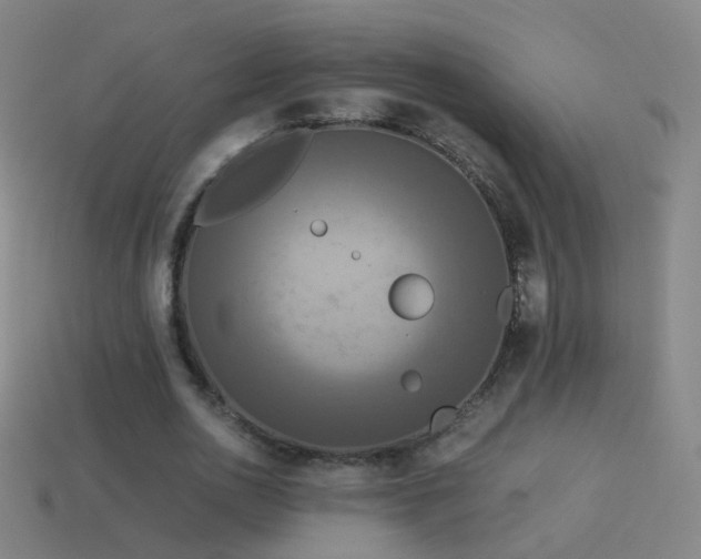 X0000114410726200910161206