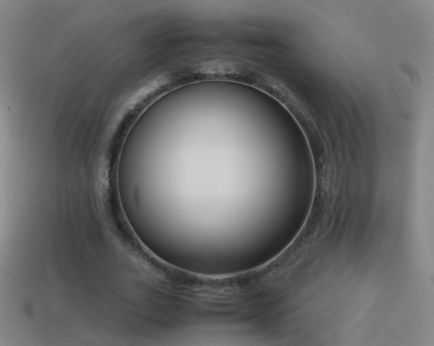 X0000114410727200910161206