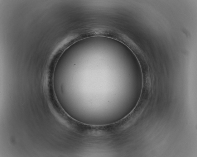 X0000114410730200910161206