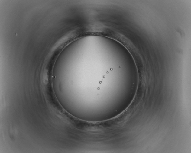 X0000114410731200910161206