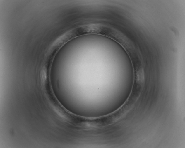 X0000114410733200910161206