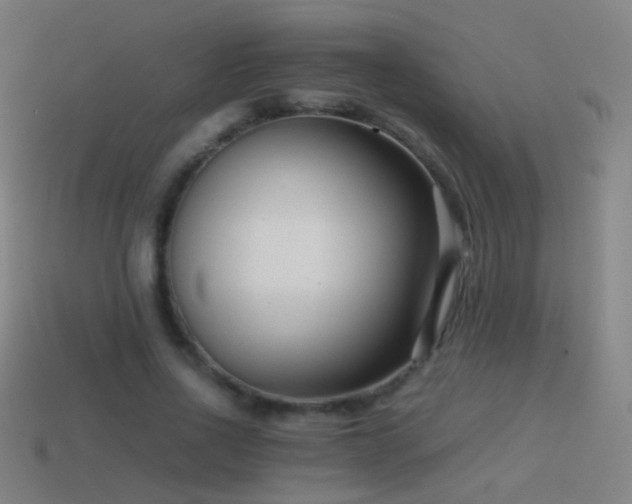 X0000114410734200910161206