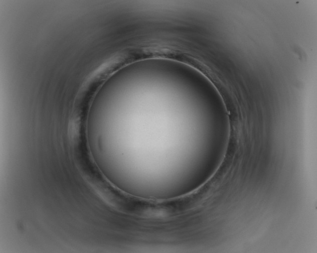 X0000114410735200910161206