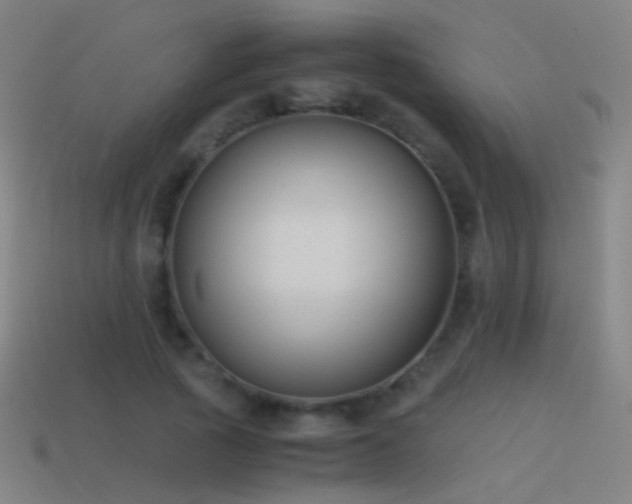 X0000114410737200910161206