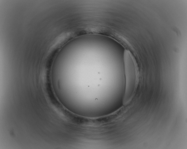 X0000114410738200910161206
