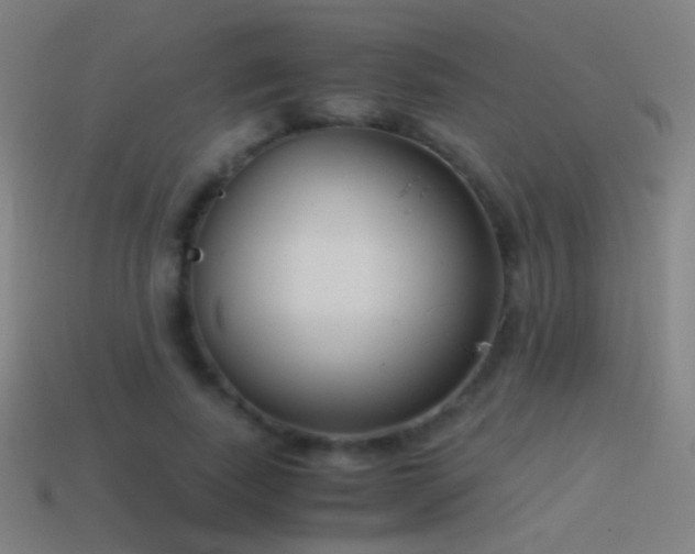 X0000114410739200910161206