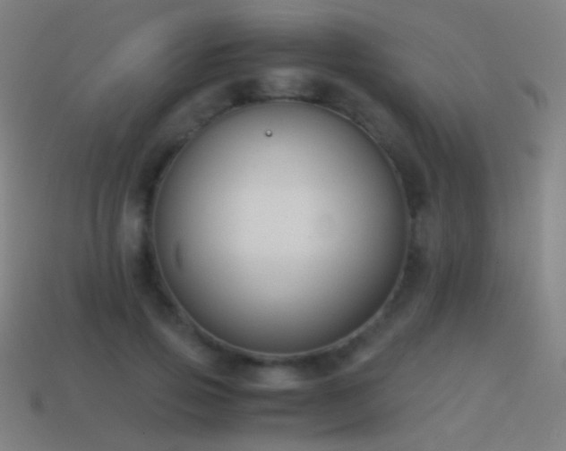 X0000114410741200910161206