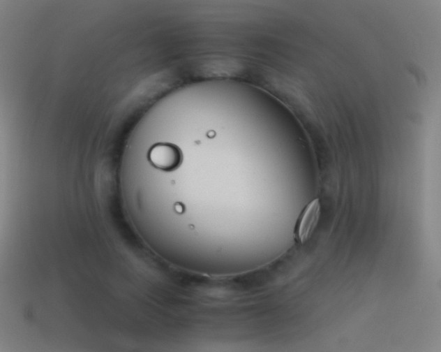 X0000114410743200910161206