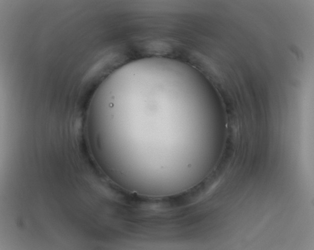 X0000114410745200910161206
