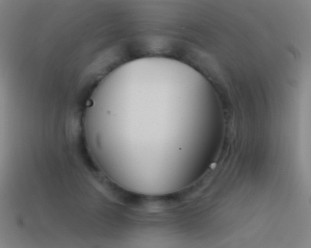 X0000114410746200910161206
