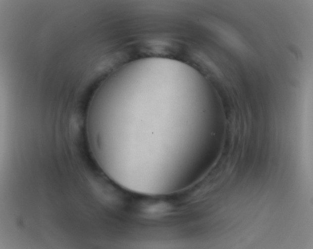X0000114410747200910161206