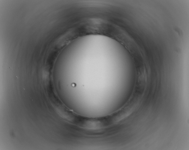 X0000114410749200910161206