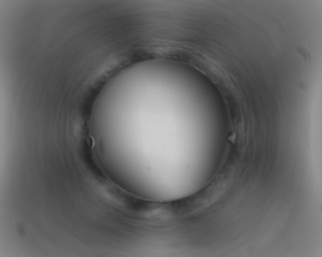 X0000114410750200910161206