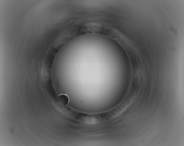 X0000114410751200910161206
