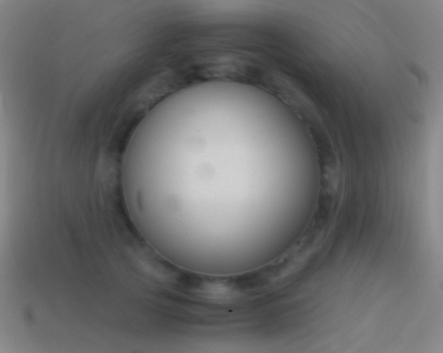 X0000114410753200910161206