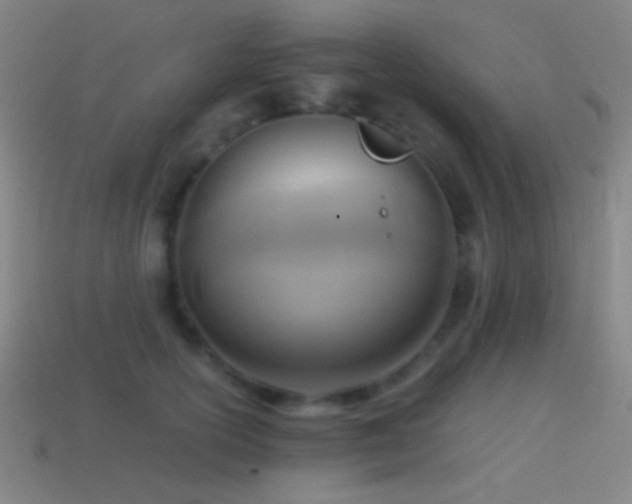 X0000114410754200910161206