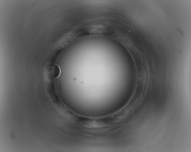 X0000114410755200910161206