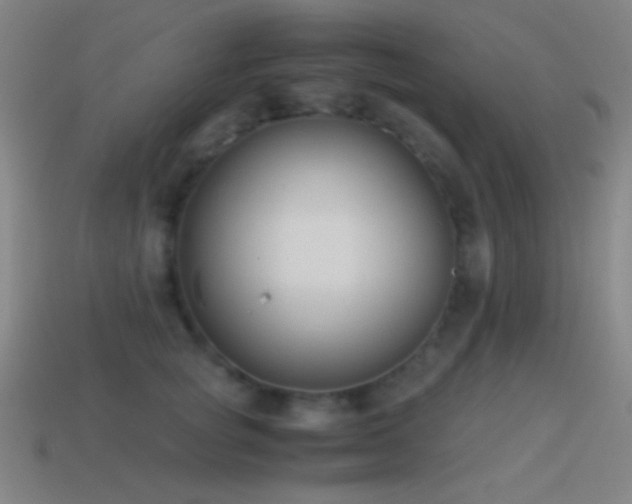 X0000114410757200910161206