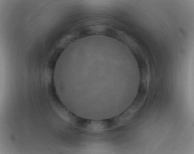X0000114410758200910161206
