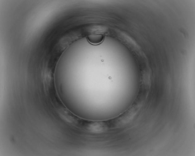 X0000114410761200910161206