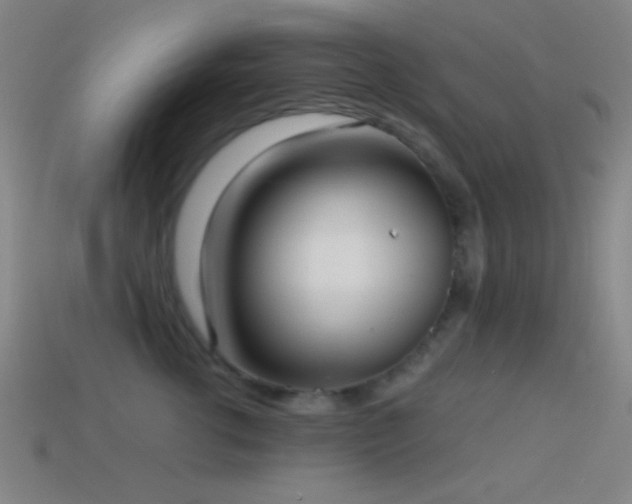 X0000114410762200910161206