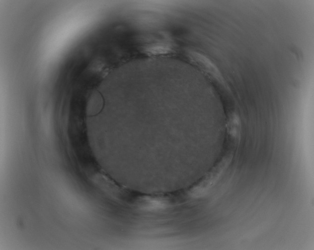 X0000114410763200910161206