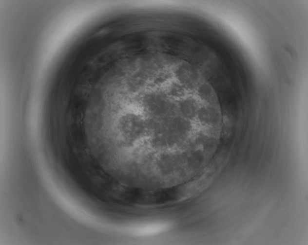 X0000114410765200910161206