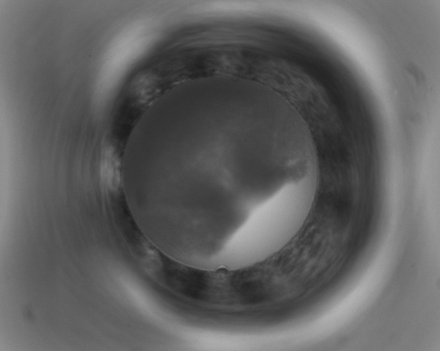 X0000114410766200910161207