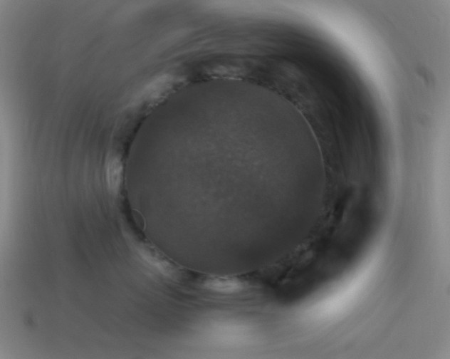 X0000114410767200910161207