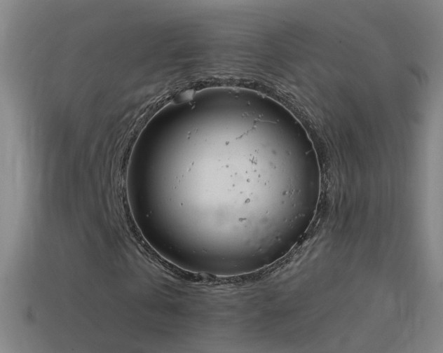 X0000114410769200910161206