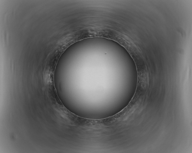 X0000114410770200910161206