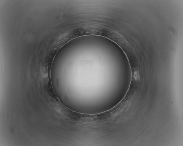 X0000114410771200910161206