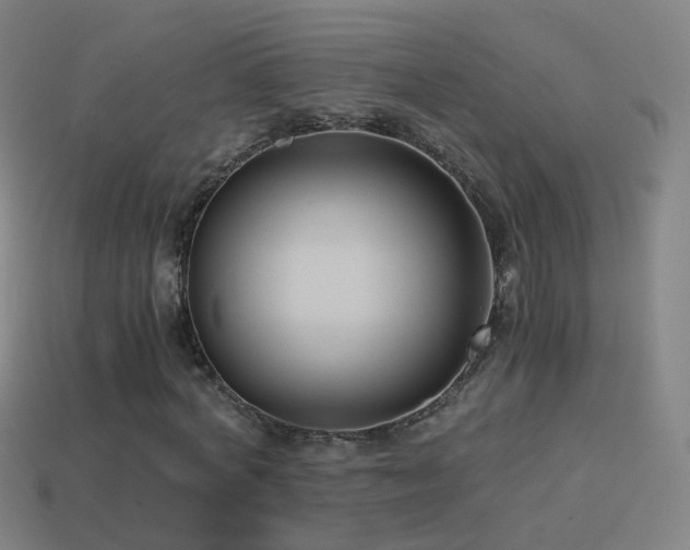 X0000114410772200910161206