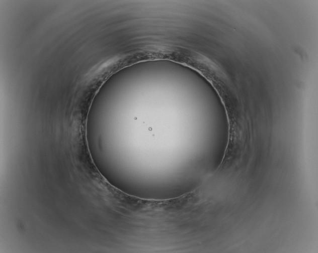 X0000114410773200910161206