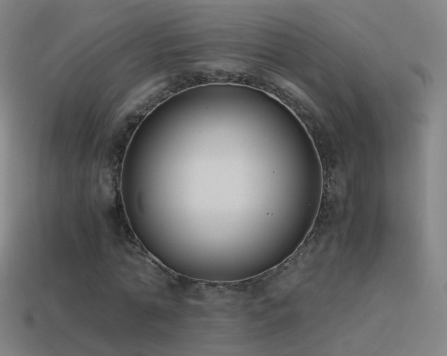 X0000114410774200910161206