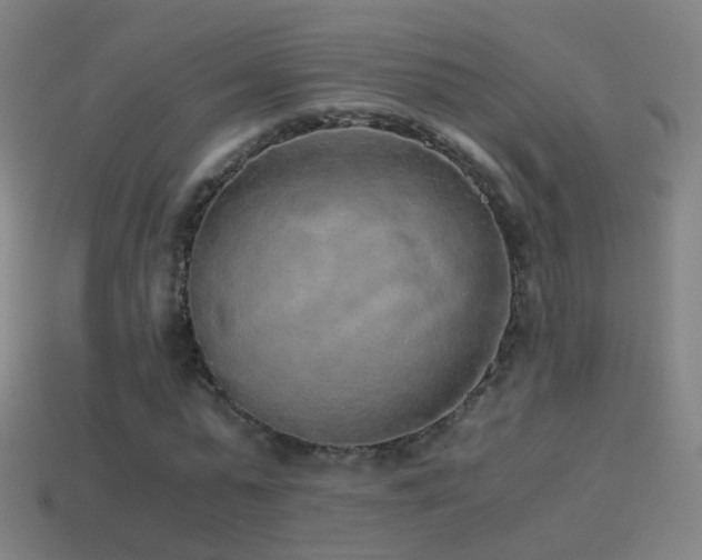 X0000114410775200910161206