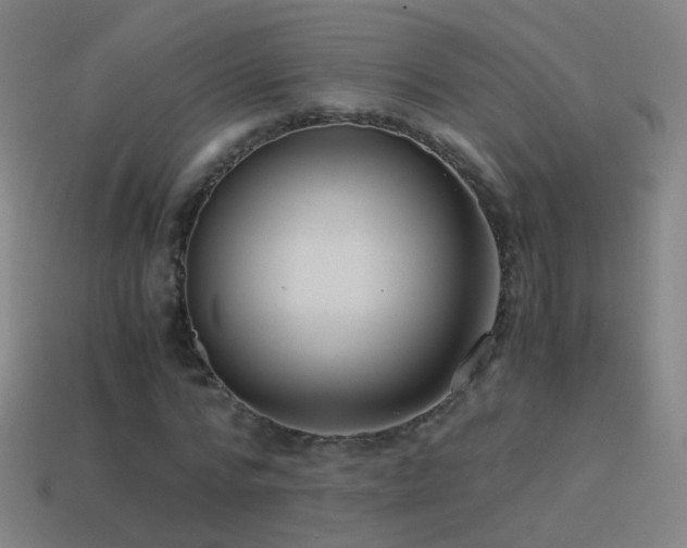 X0000114410776200910161206